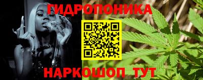 дживик Кимры