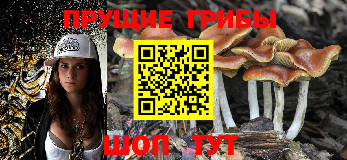 Галлюциногенные грибы GOLDEN TEACHER Балашов