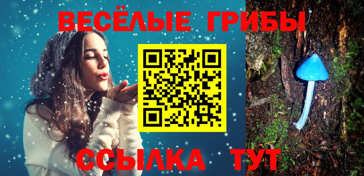 Балашов  купить наркоту  Вход с VPN  Галлюциногенные грибы Psilocybe 
